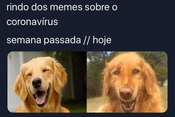 Melhores do ano: os memes mais engraçados de 2019