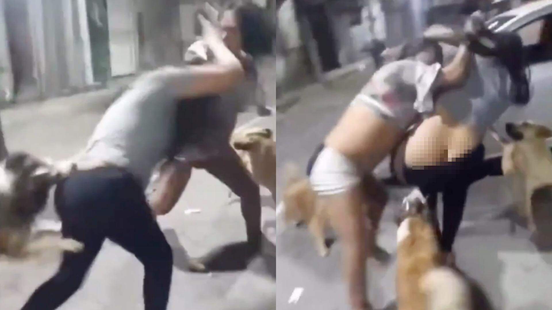 VÍDEO: Cachorro se mete em briga entre mulheres e expõe as nádegas de uma |  Mundo | O Liberal