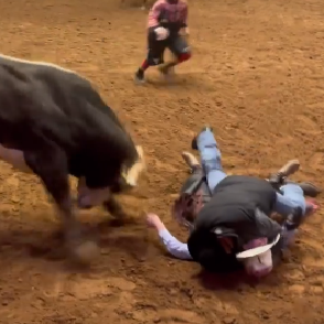 Peão morre após ser pisoteado por touro durante rodeio em Minas
