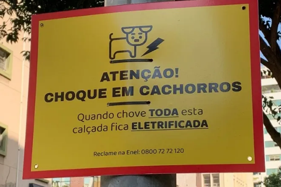 Reprodução/ Redes sociais