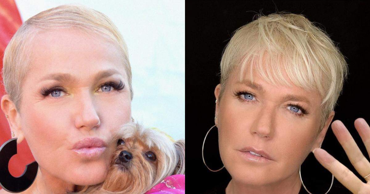 Famosos: veja o antes e depois da apresentadora Xuxa, Televisão