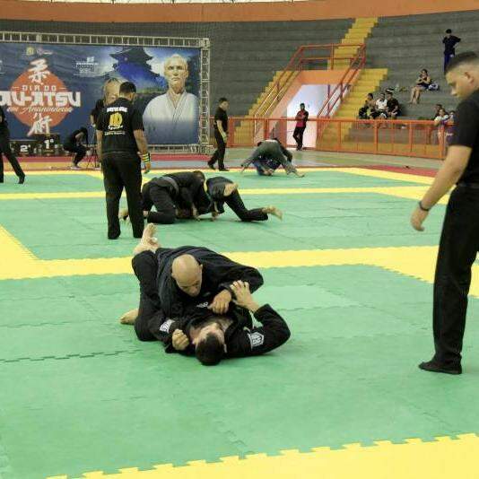 Atleta paraense é campeã mundial de jiu-jitsu profissional - A Província do  Pará