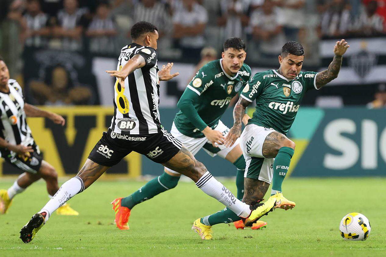 Botafogo x Palmeiras: Confira onde assistir ao jogo do Botafogo e Palmeiras  ao vivo com imagens; veja horário e escalações