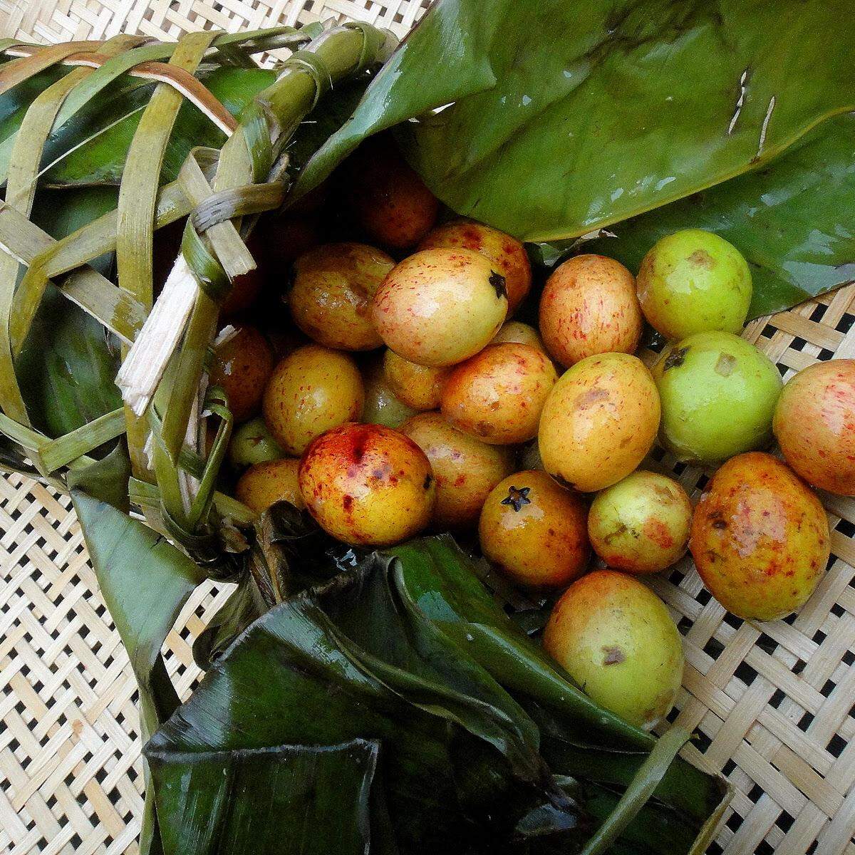 Macaúba: o que é, benefícios e como comer, Receita