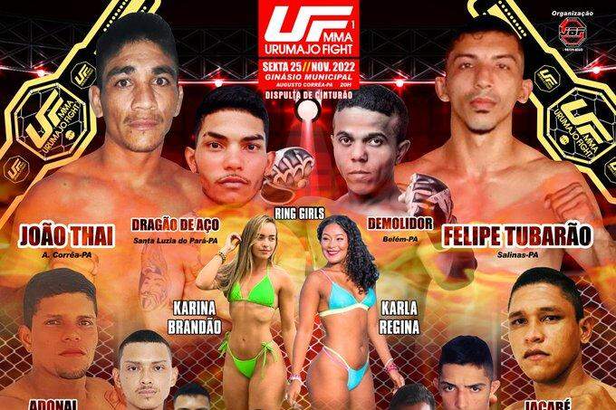 Caminho do MMA até Olimpíada passa por luta olímpica e distanciamento do  UFC - Notícias - UOL Olimpíadas 2012