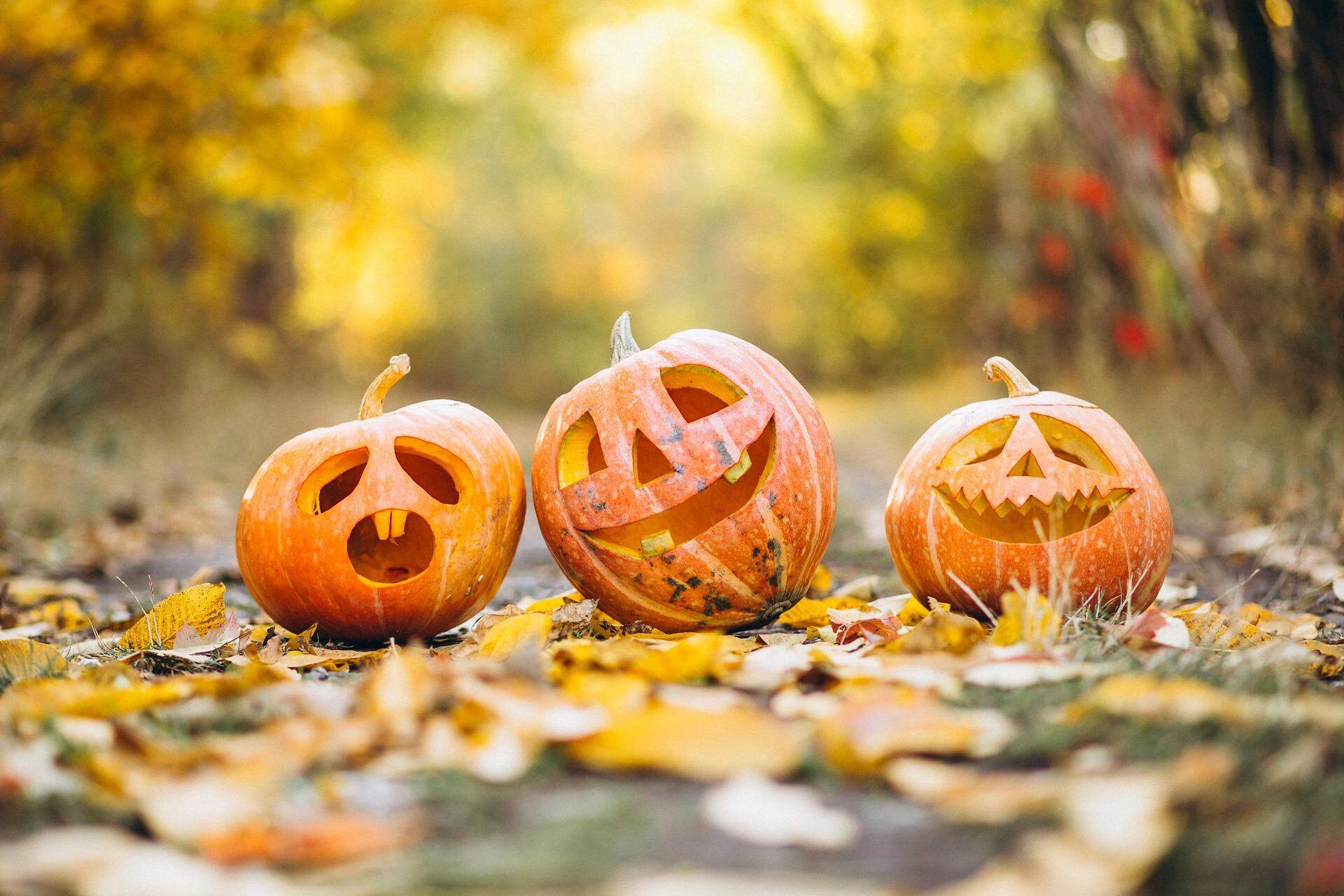 31 filmes de halloween para assistir em outubro - Dani Que Disse