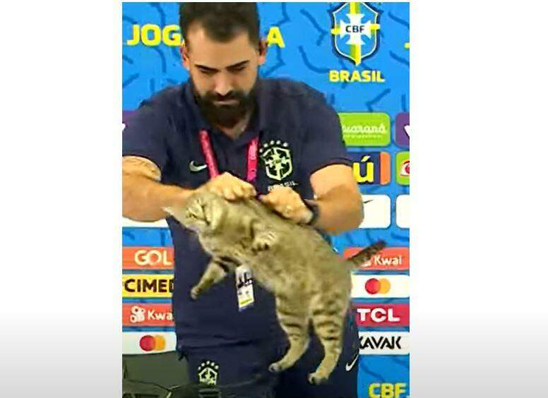 Gato viraliza após invadir entrevista de Vini Junior na seleção