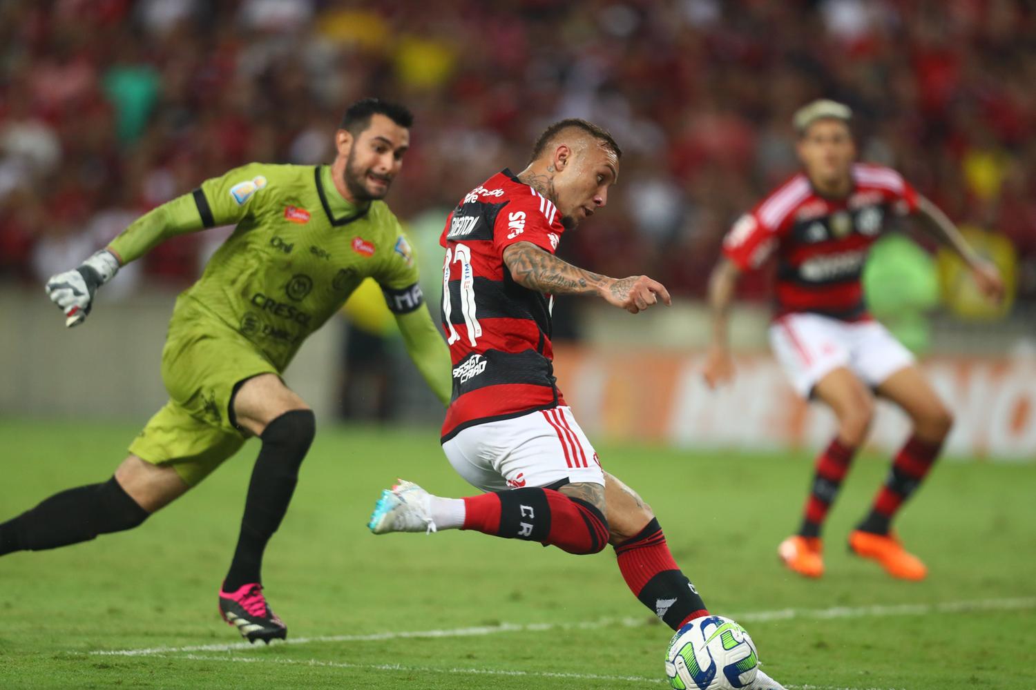 Maringá x Flamengo: veja onde assistir AO VIVO e de GRAÇA!