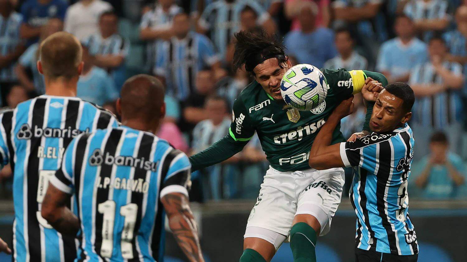 Jogo de hoje! Palmeiras x CRB: onde assistir e prováveis escalações, Futebol