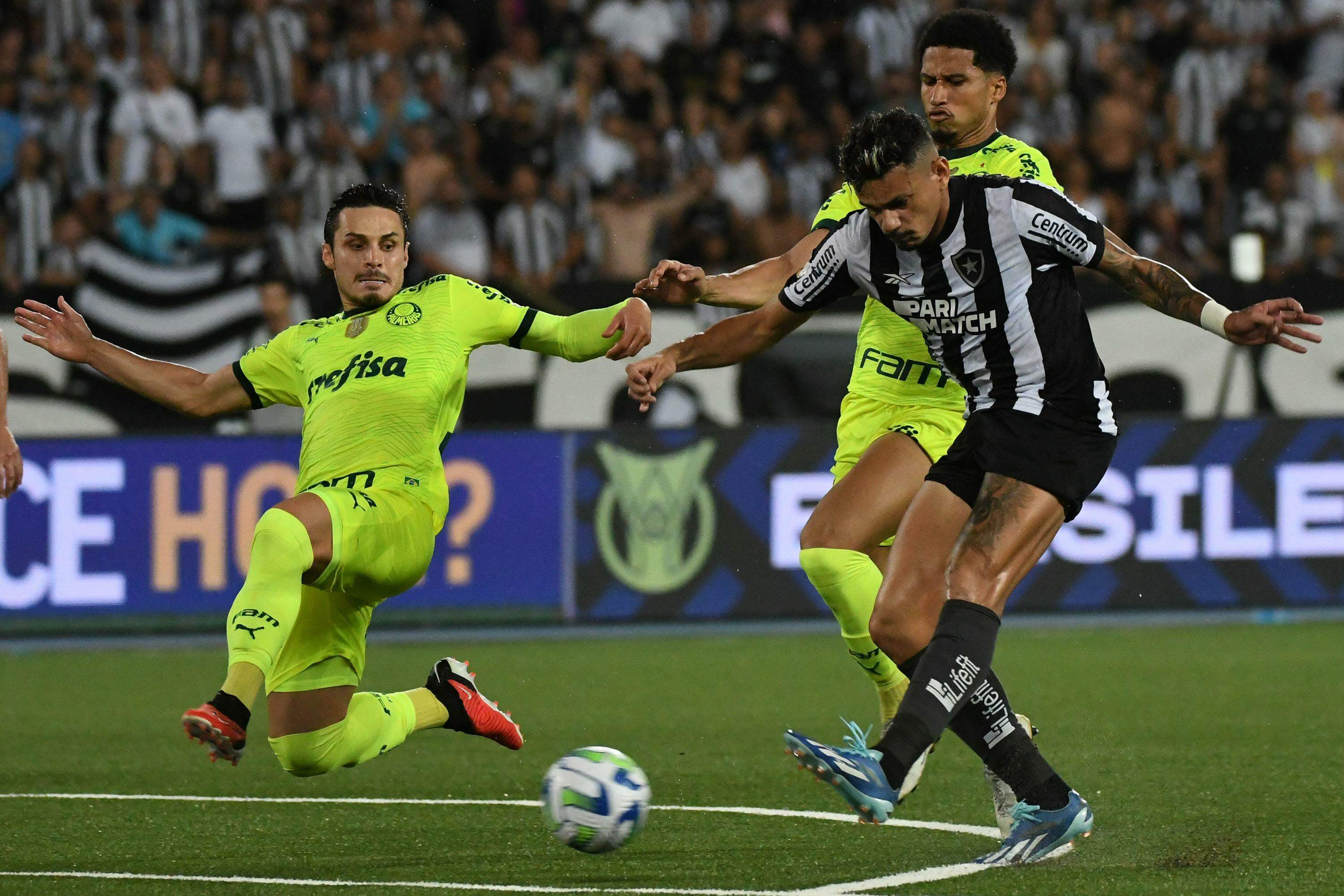 Com empate do Palmeiras, Botafogo nem precisa entrar em campo para seguir  líder do Brasileirão. : r/futebol