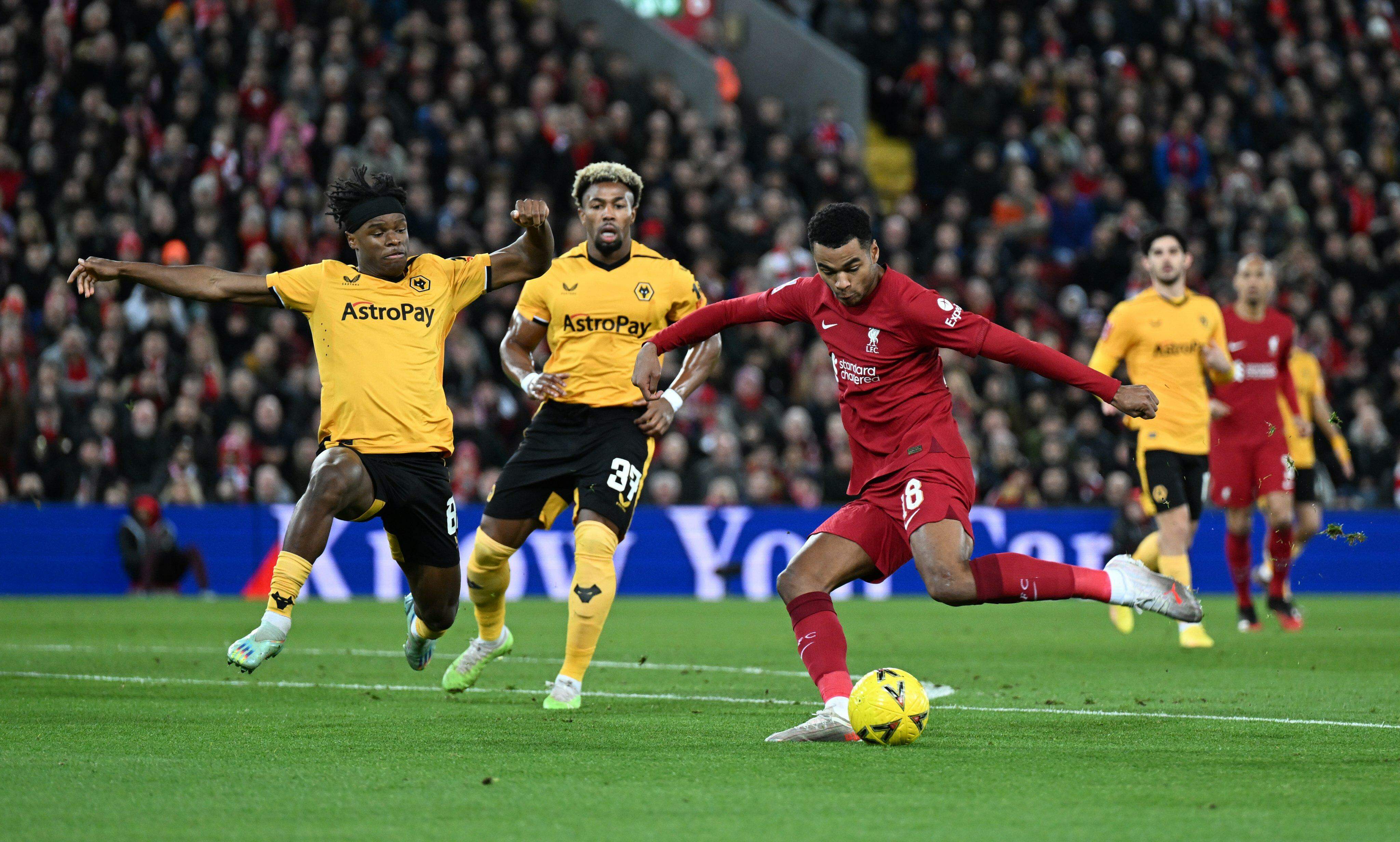 Qual canal vai passar o jogo LIVERPOOL X MANCHESTER UNITED Hoje (17/12)?  Passa no STAR+ ou ESPN? Veja onde assistir LIVERPOOL X MANCHESTER UNITED ao  vivo com imagens - Portal da Torcida