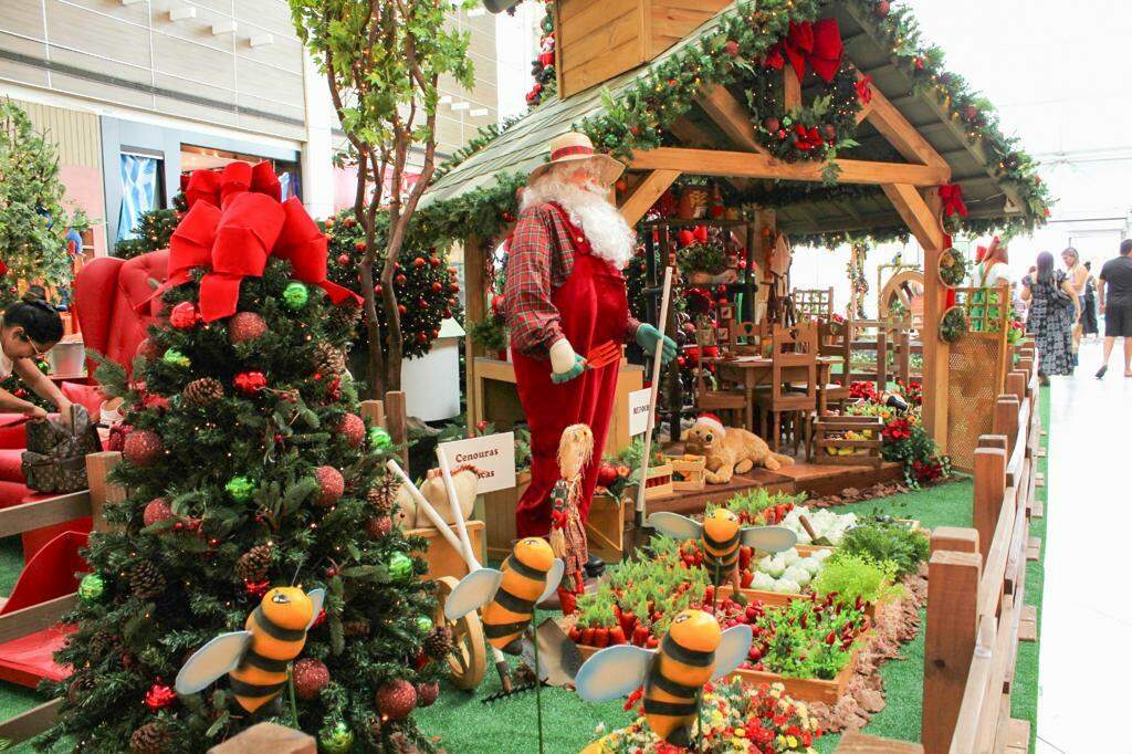 Parque Linear também recebe decoração natalina - Vero