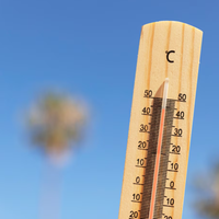 O calor excessivo pode ser prejudicial aos seres vivos