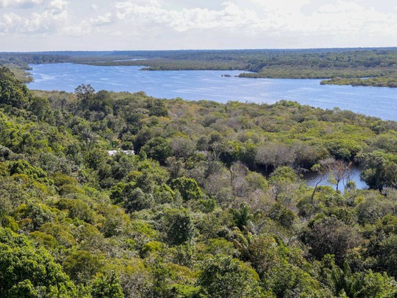 Parte da Amazônia vista de cima.