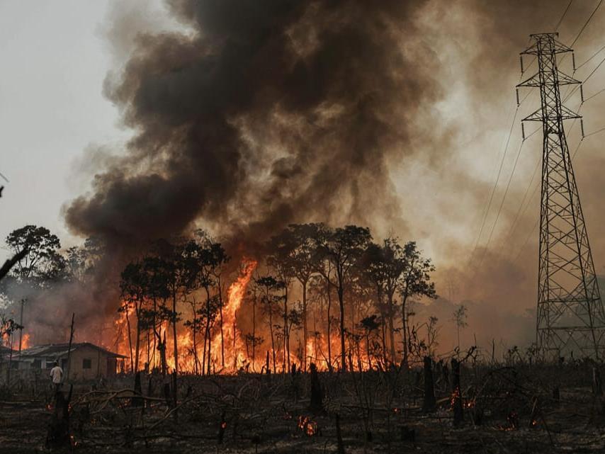 De janeiro até julho deste ano, 721 ocorrências de fogo em áreas de vegetação alcançaram a rede elétrica no Pará, provocando algum tipo de dano ao sistema
